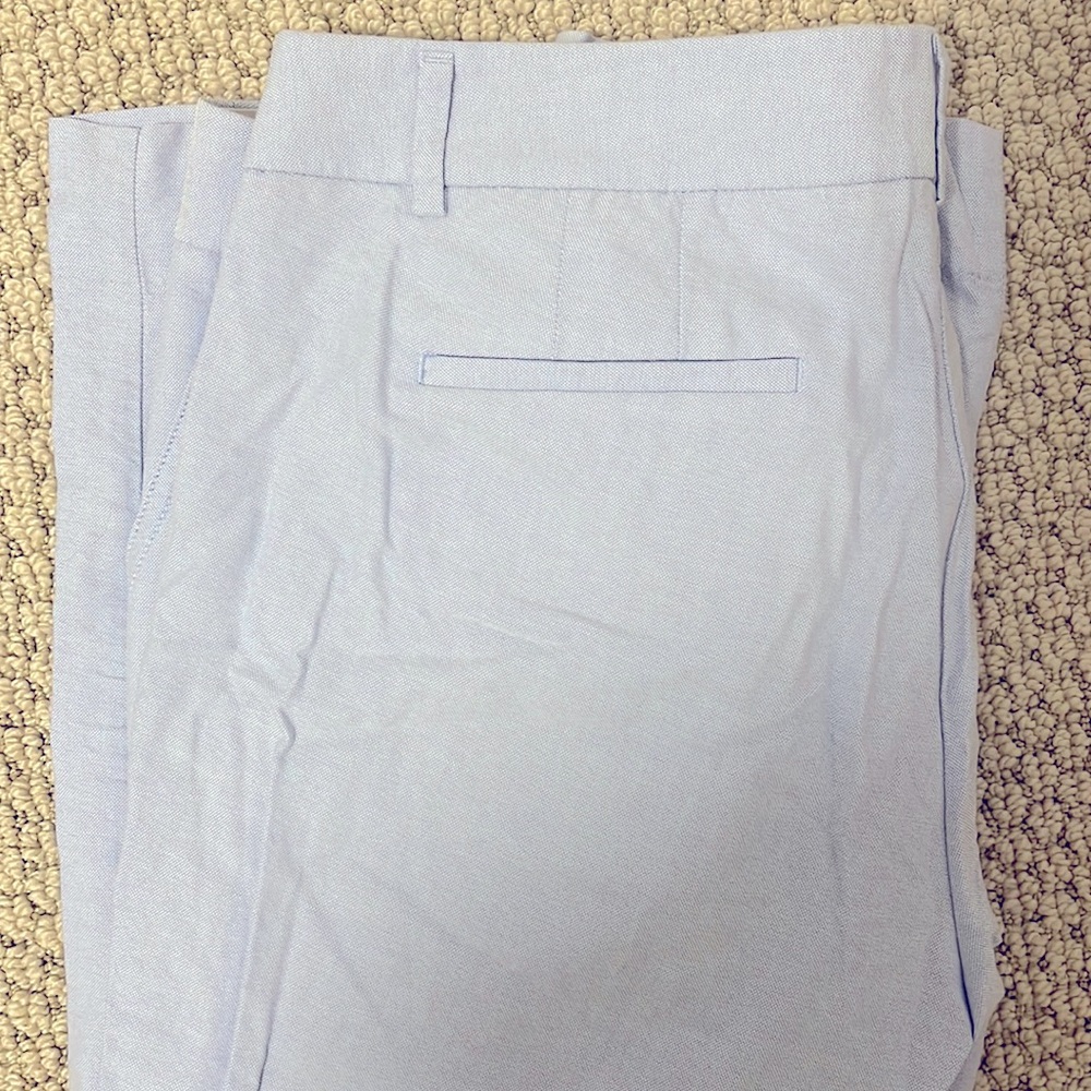 Powder blue Jcrew pants!